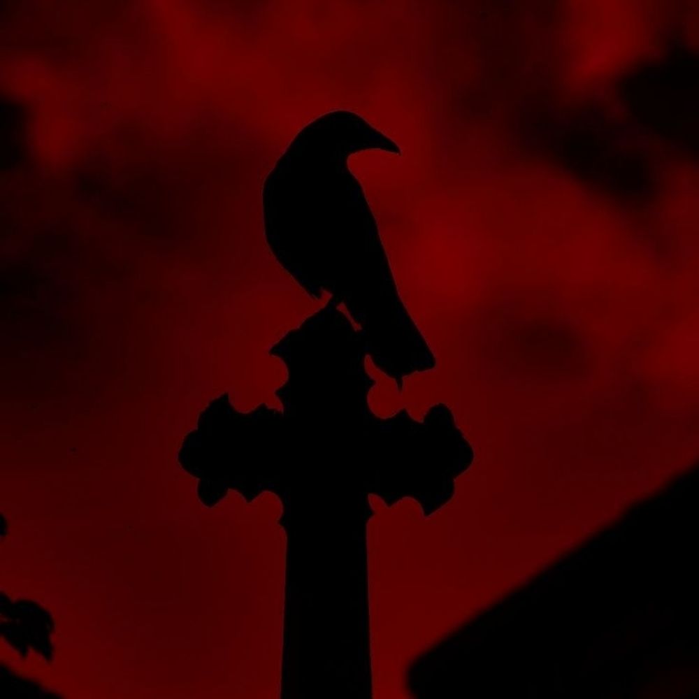 𝙷𝚞𝚐𝚘 𝙼𝚊𝚣𝚣𝚎𝚙𝚒