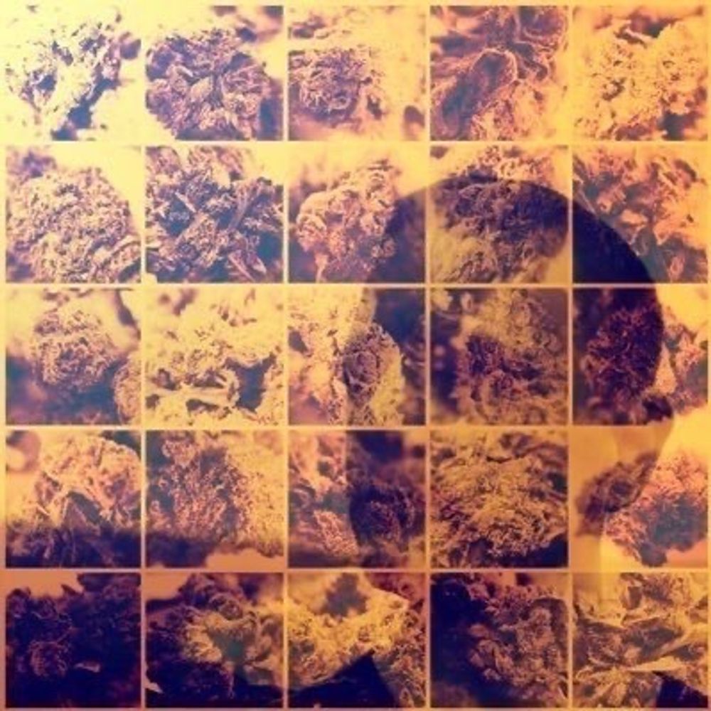 VapeTheBud
