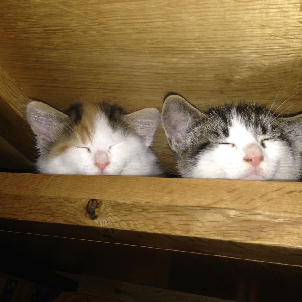Margo & Jerry
