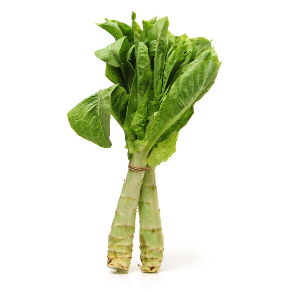 Celtuce