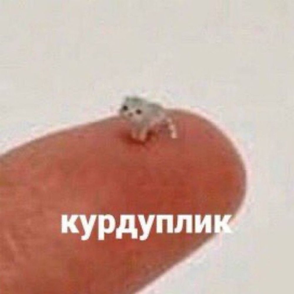 тут могла бути ваша реклама 🇺🇦