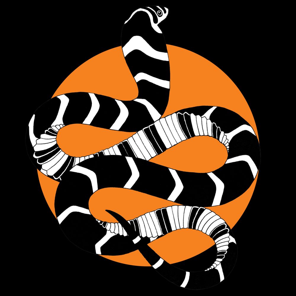 Save The Snakes