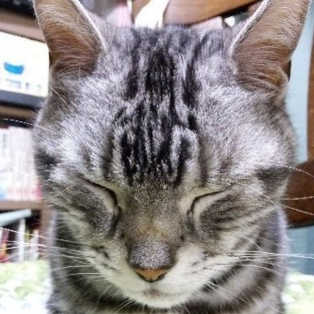 紫唹