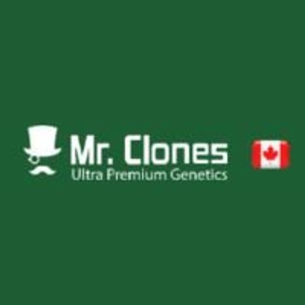 Mr. Clones