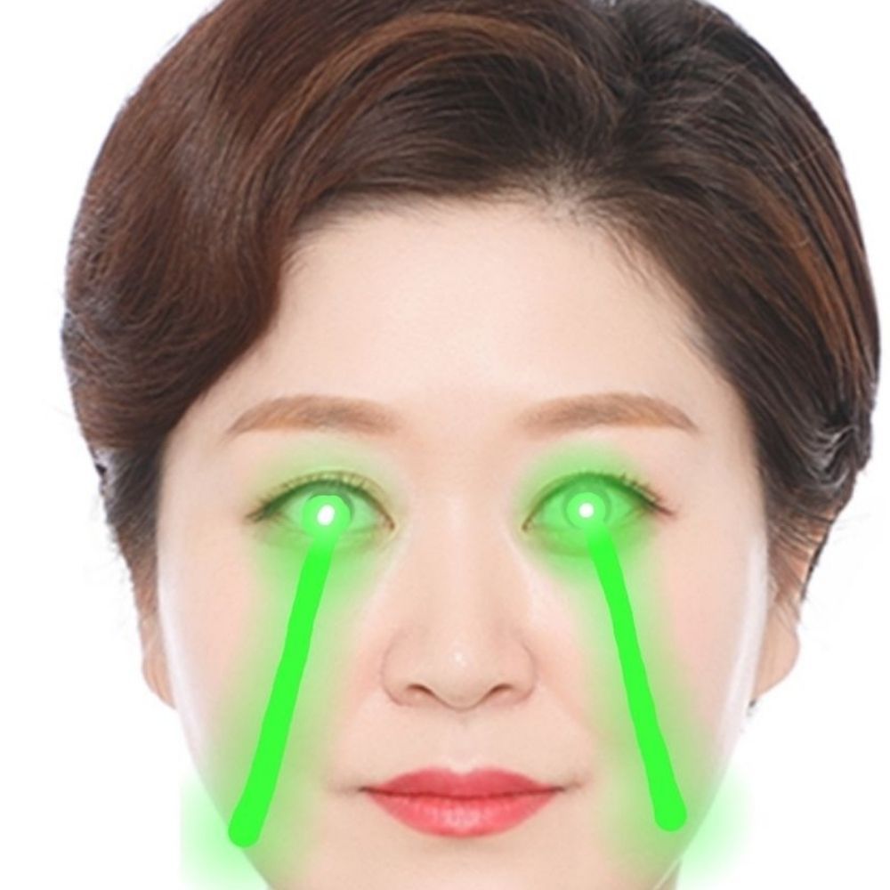 Yeahee Shin 신예희