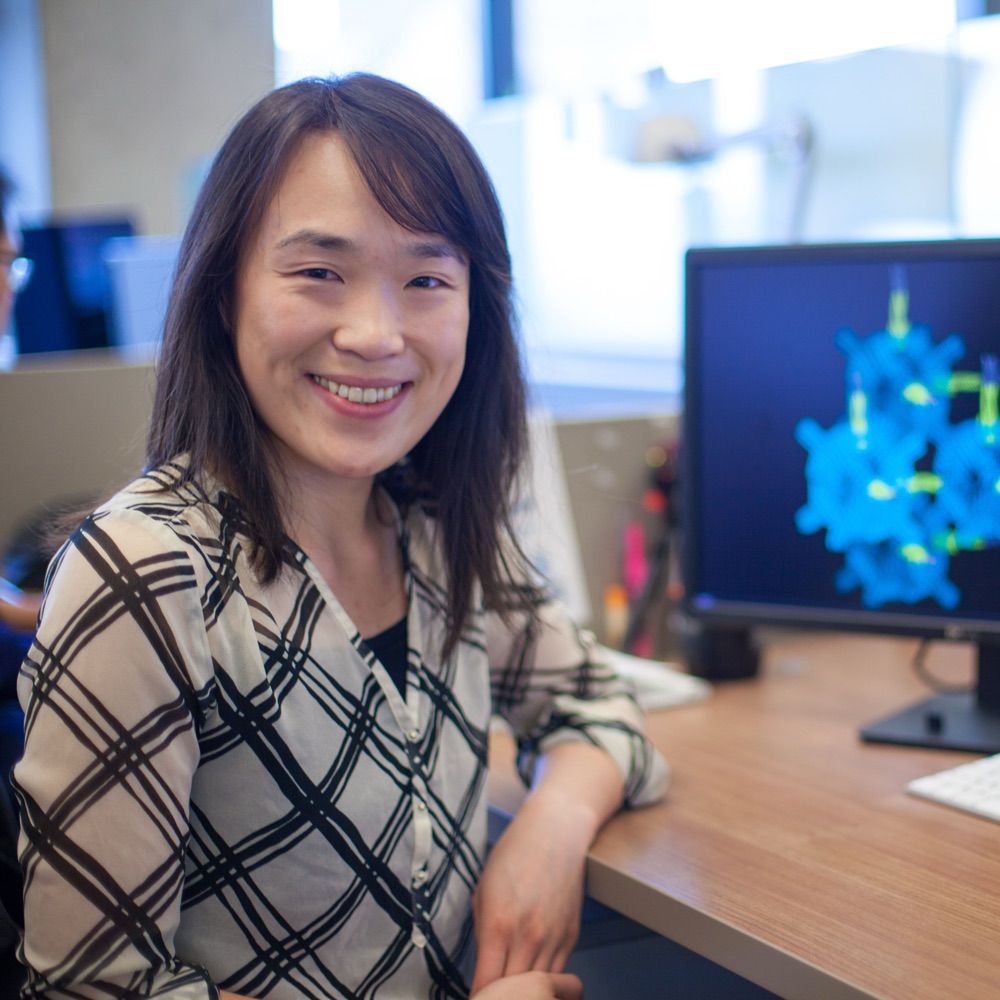 Kathy Y Wei, Ph.D.