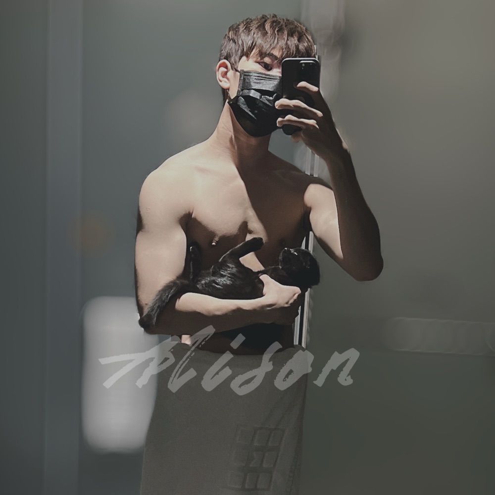 艾森Alison