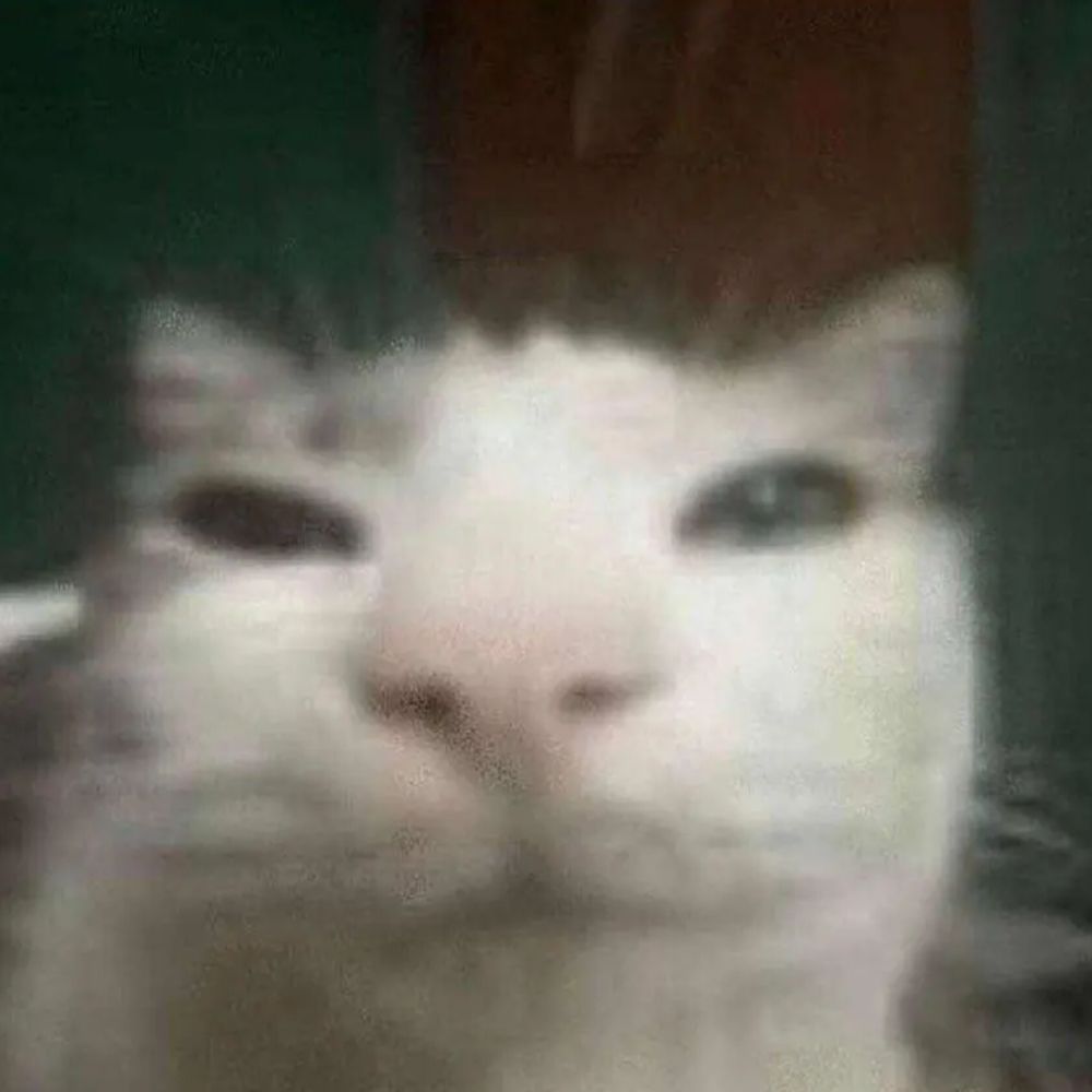 McSleepo (real)