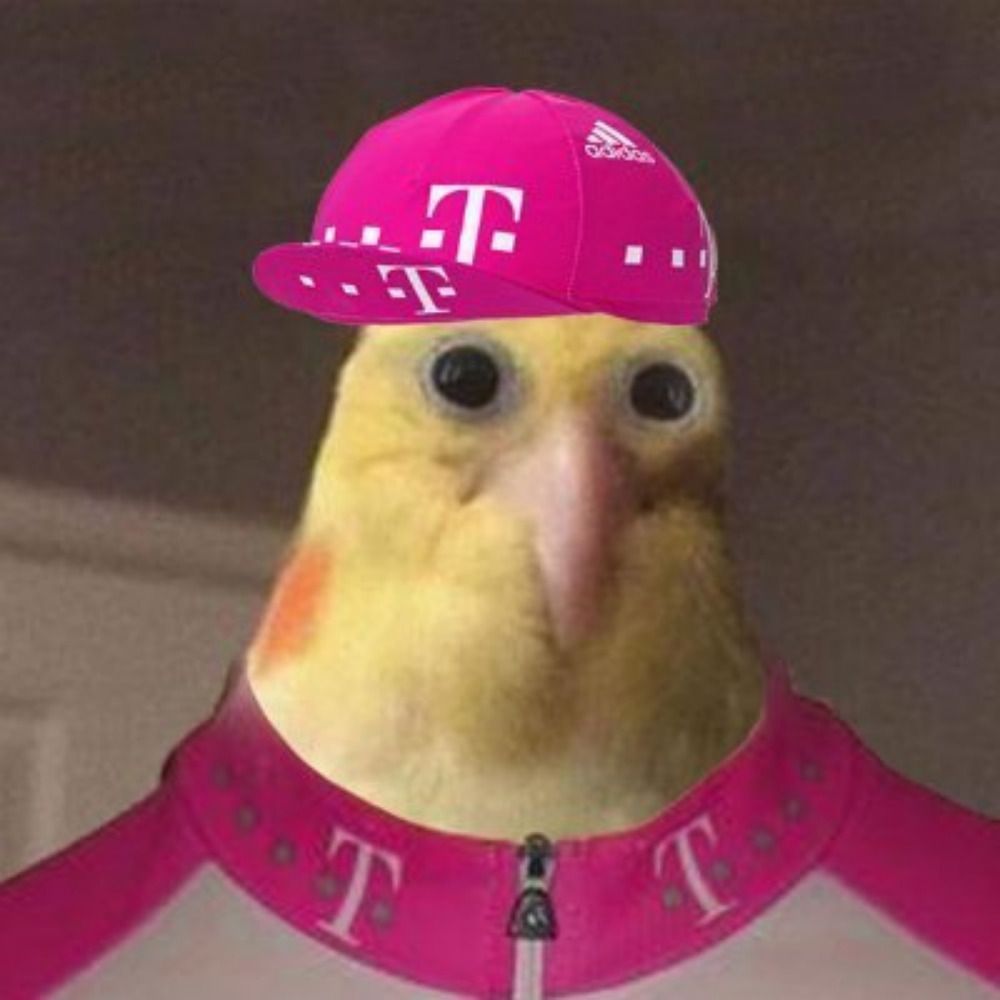 radvokel 🚲🦜 게으름뱅이