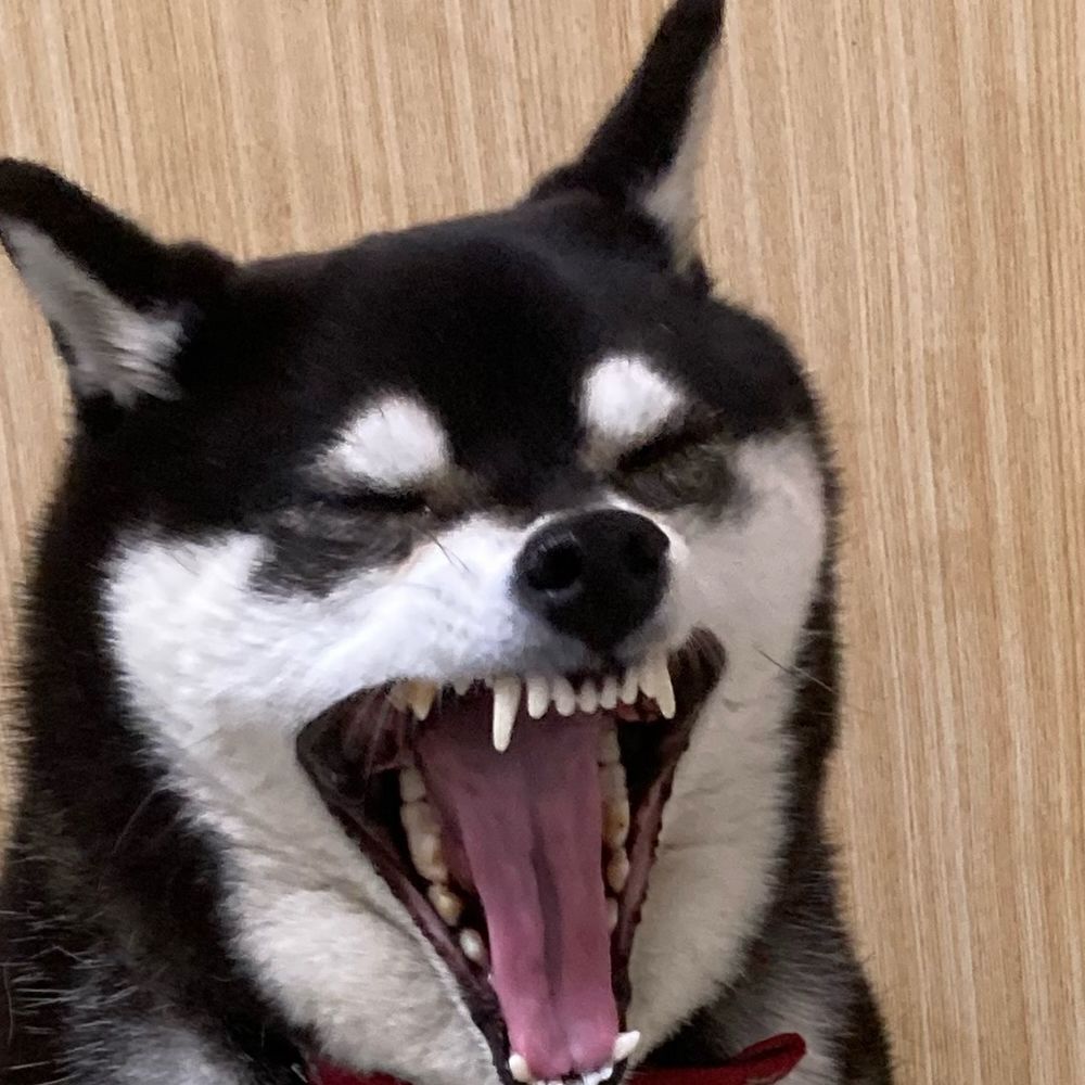 リリス