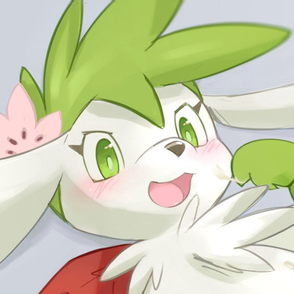 Not A Shaymin 🔞