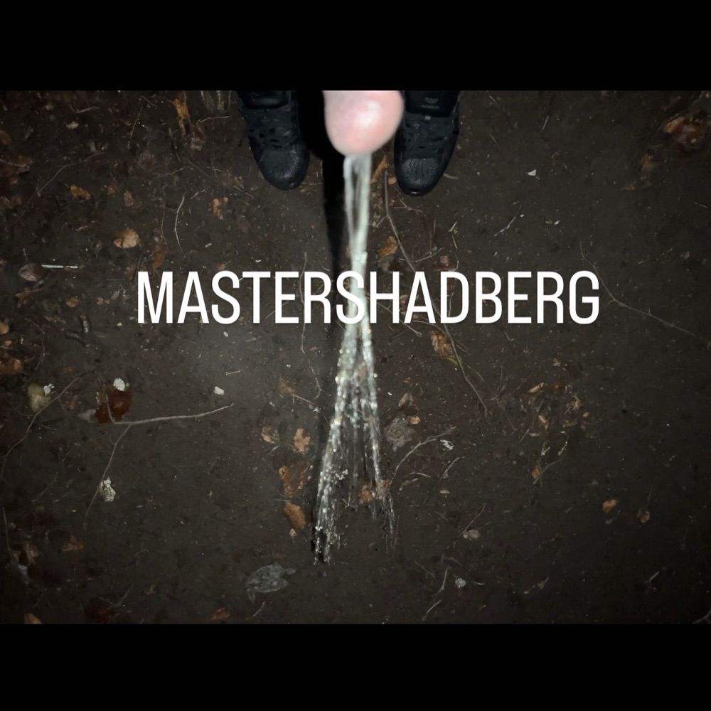 Master ShadBerg