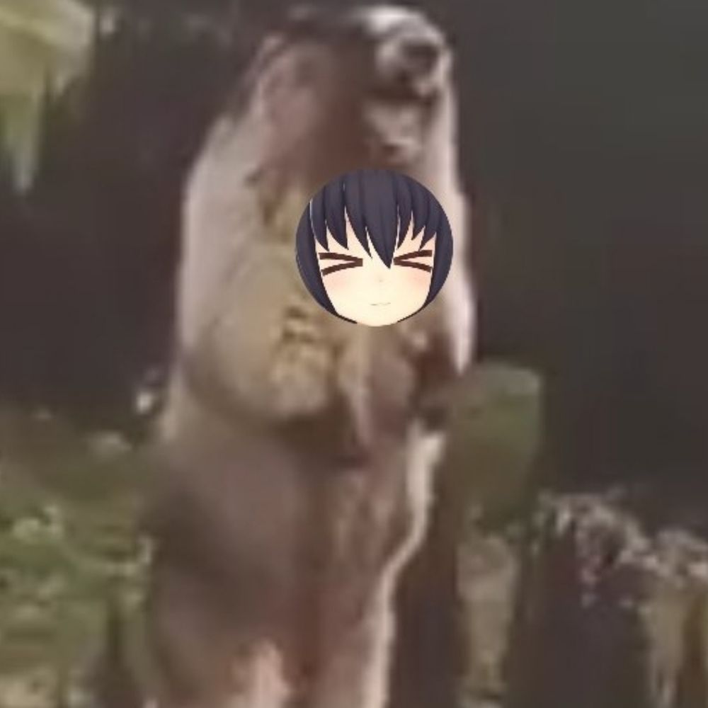 黒猫 時雨