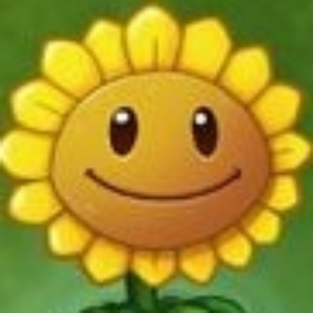 Sunny