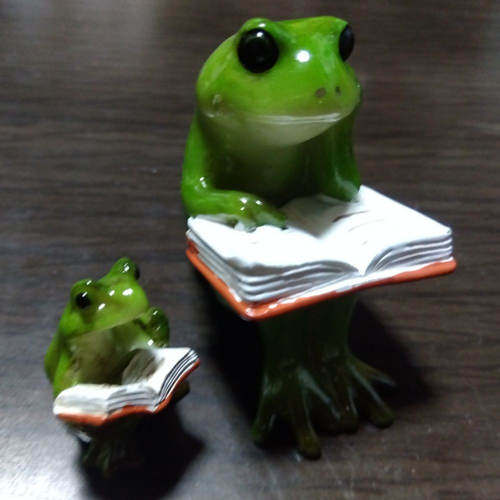 キクゾウ