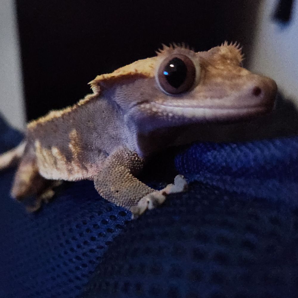 Crested Fiend