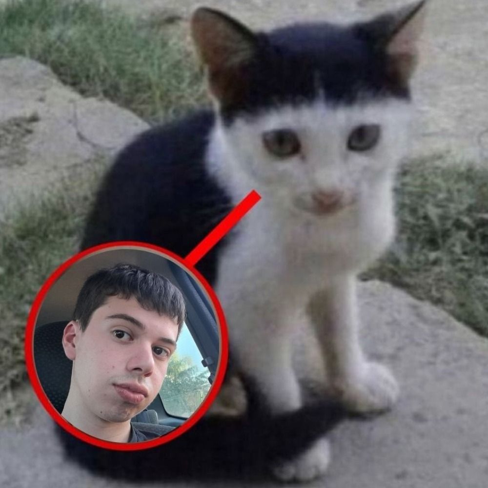 o.odranreb