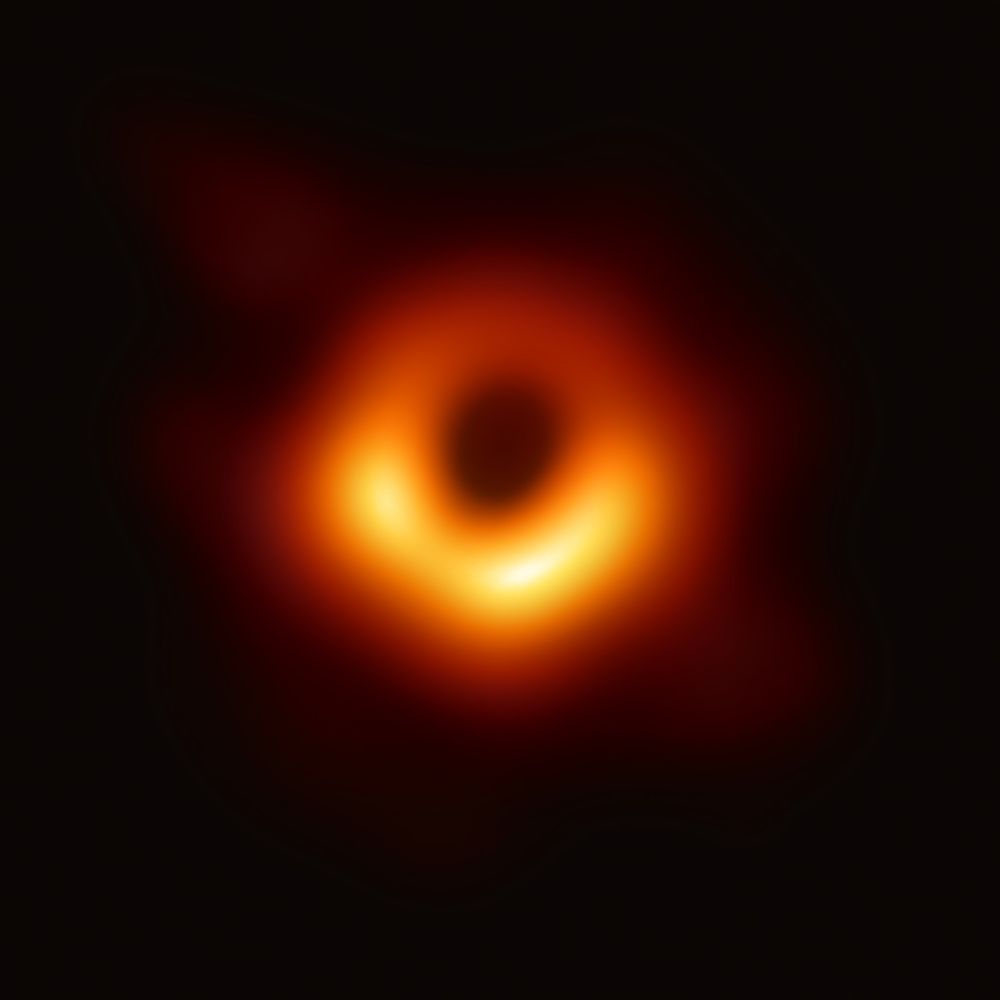 Black Hole Initiative 