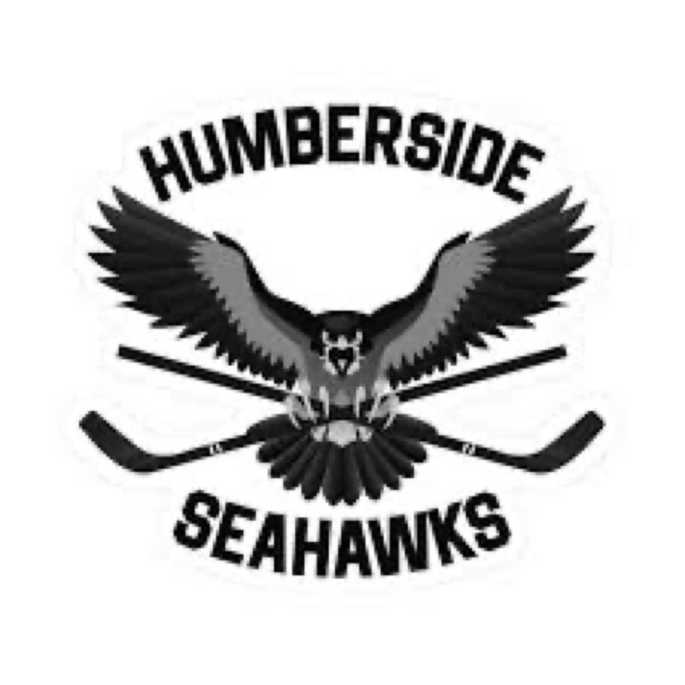 Seahawks Dave