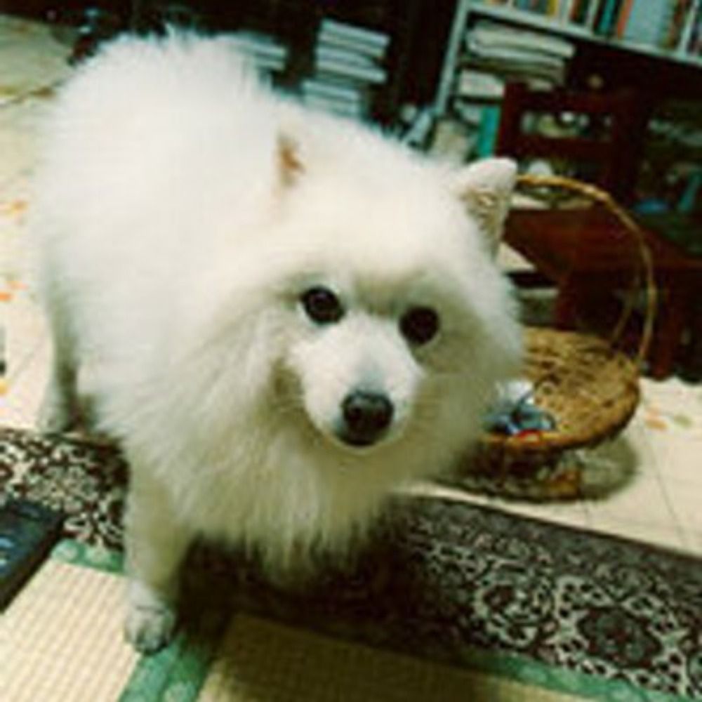 さとる