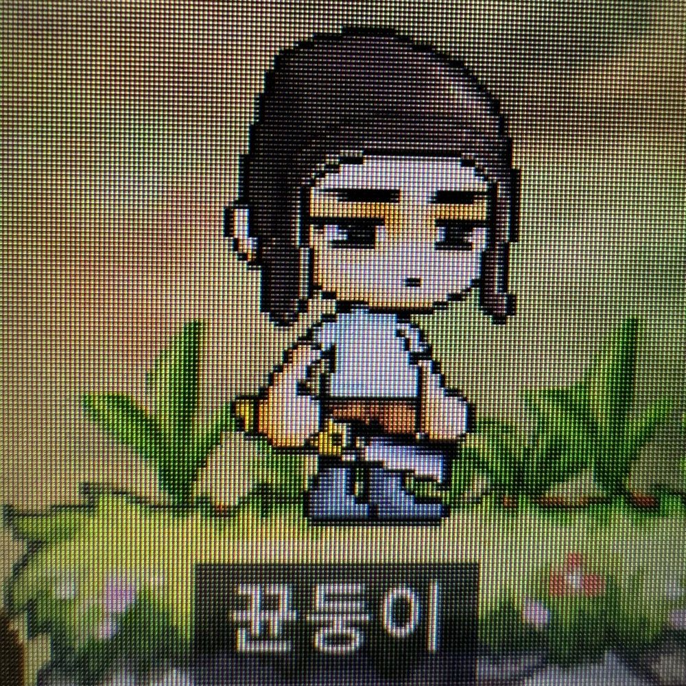 낑깡