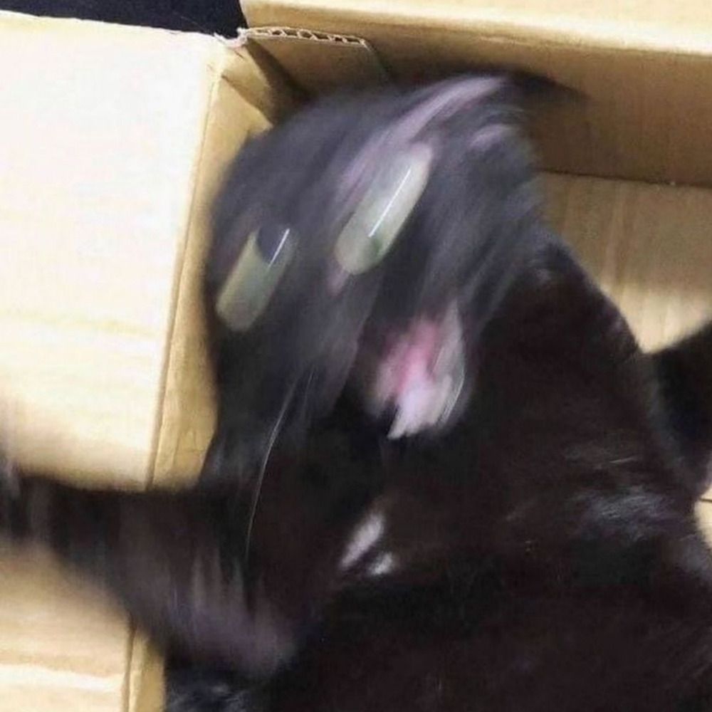 Sofiolo