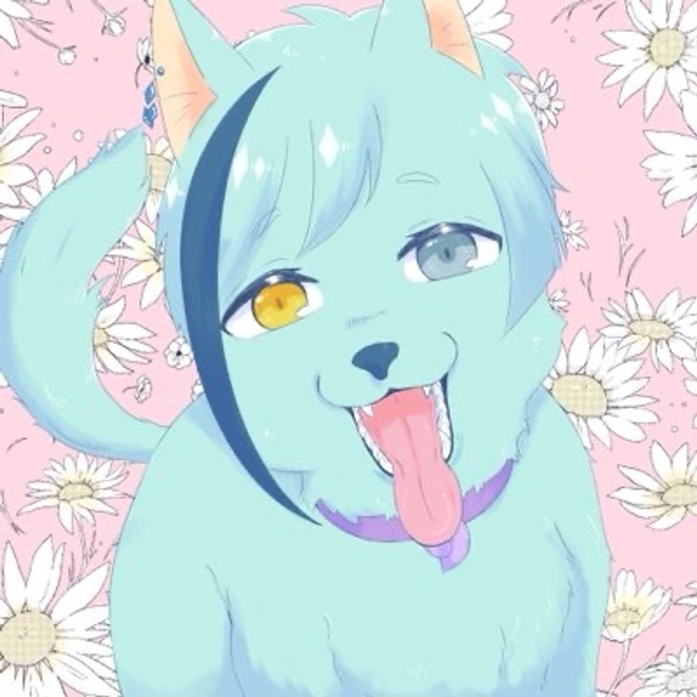 ましろ