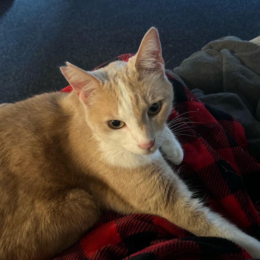 Sam