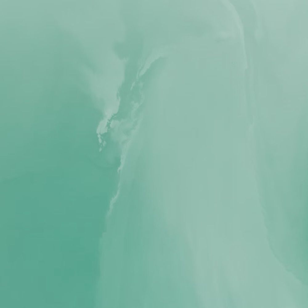 シケ