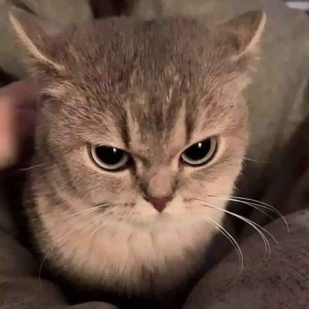 fia