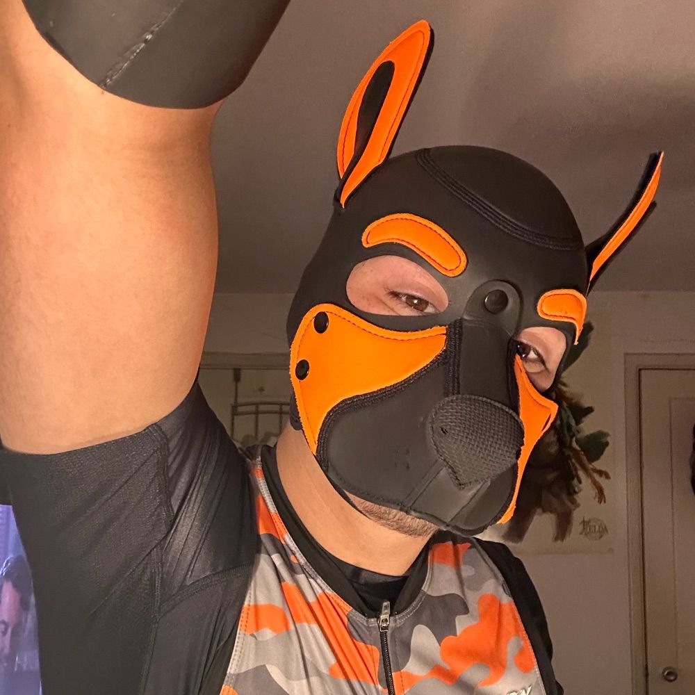 Pup.Lennox