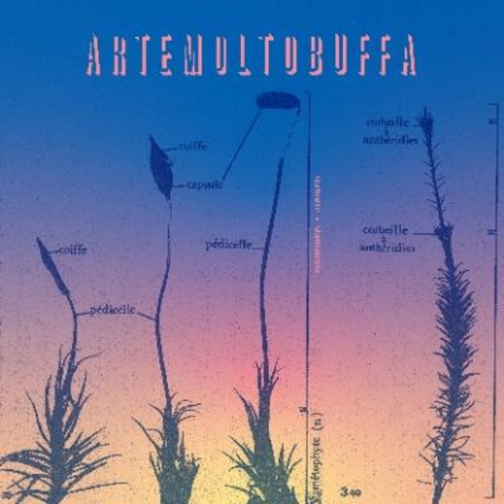 artemoltobuffa
