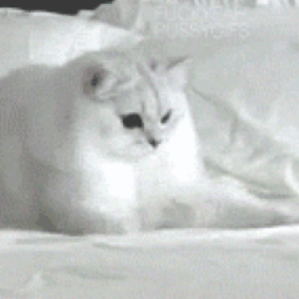 ⁱ