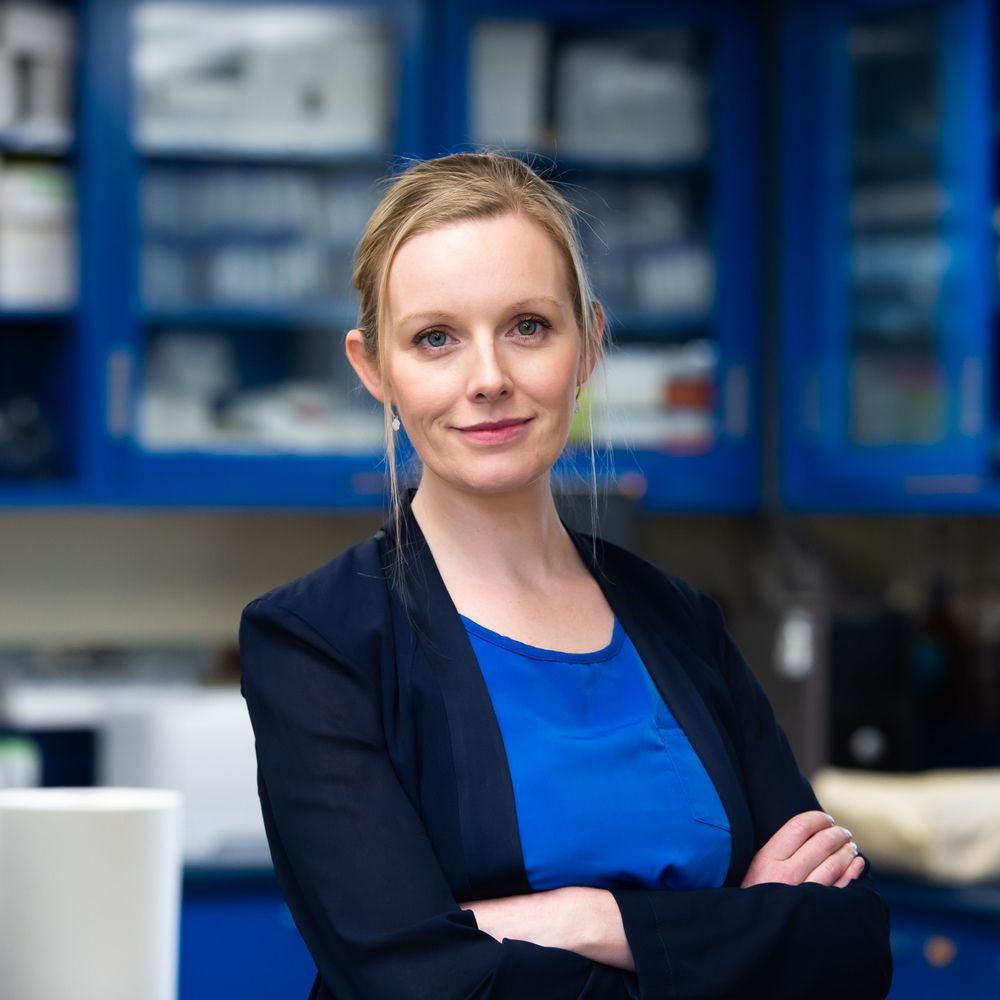 Aoife O'Donovan