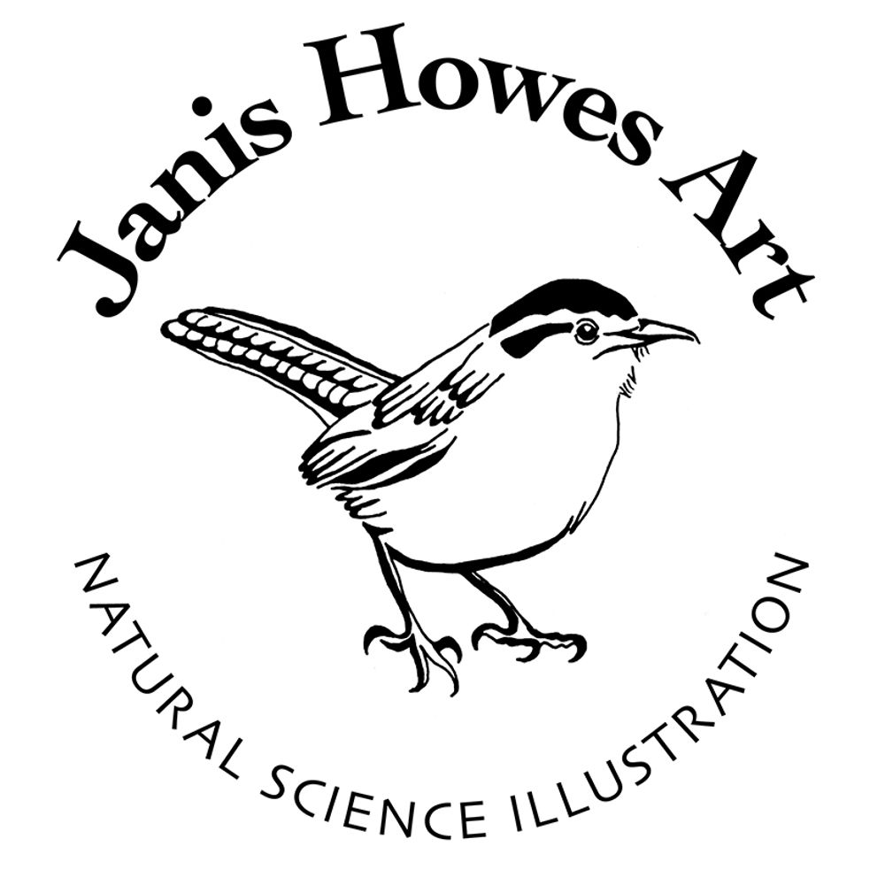 Janis Howes Art