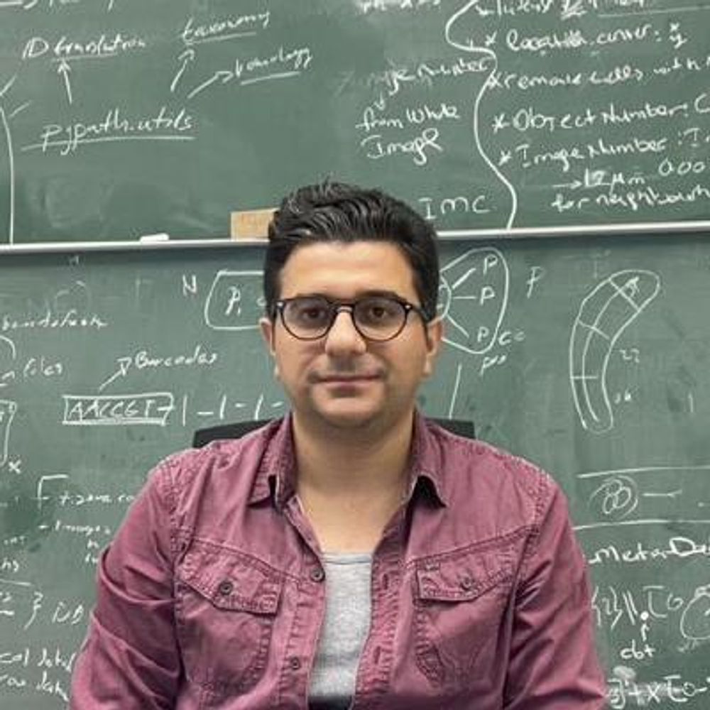 Ahmet Sureyya Rifaioglu