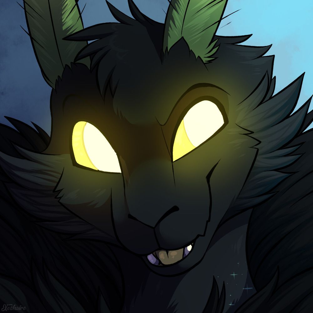 RavenDragons