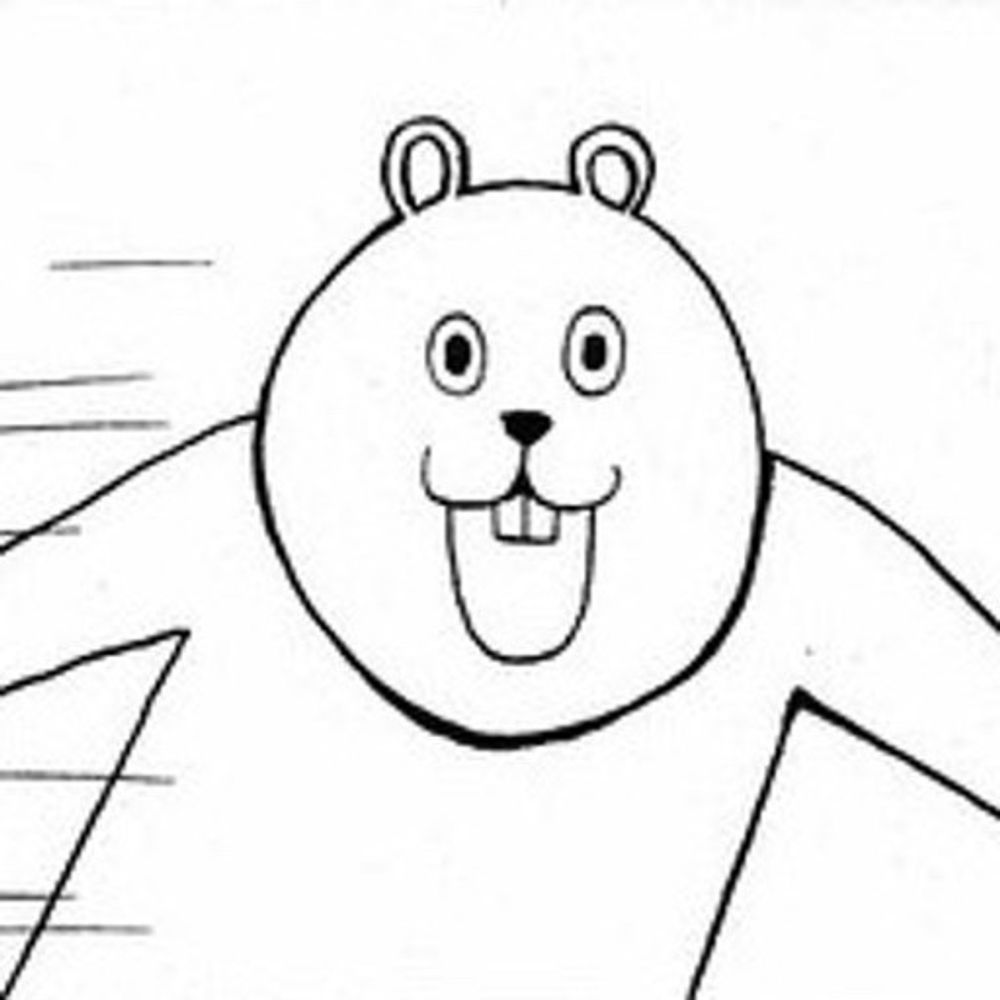 storz
