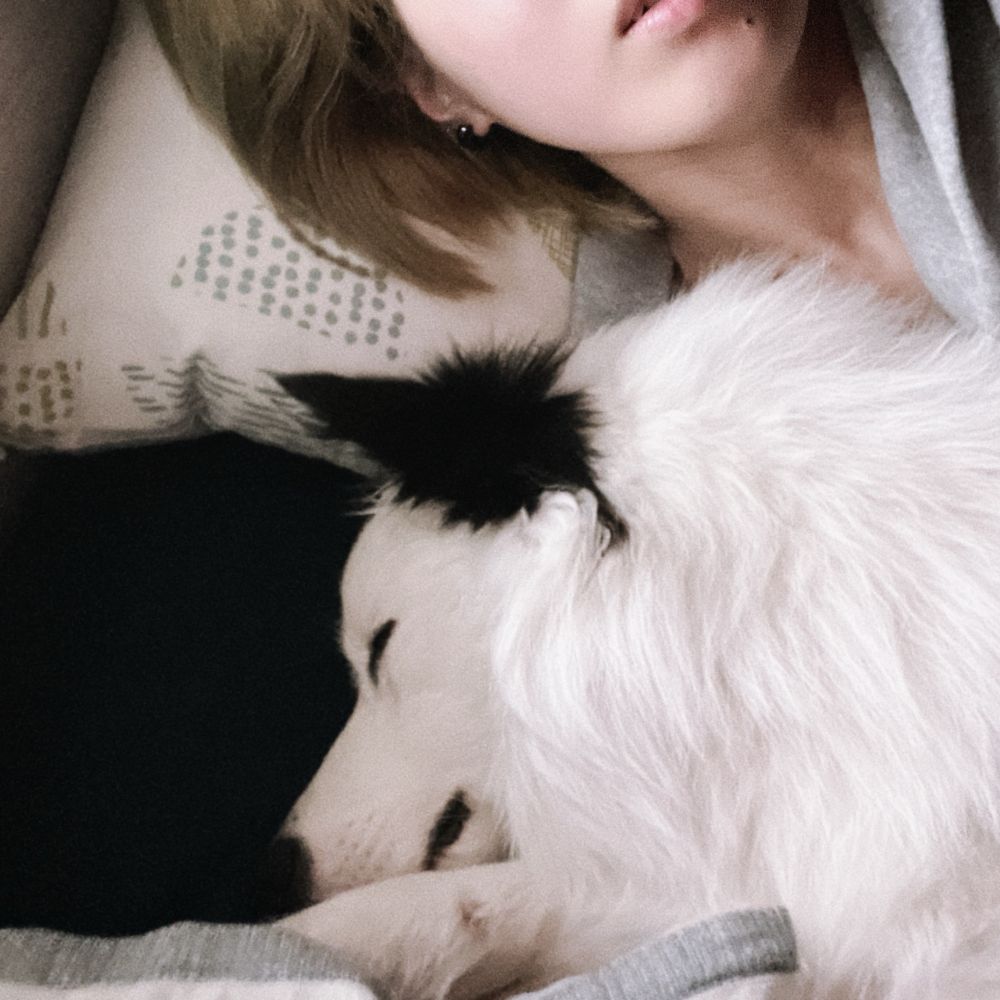 奈々氏🐻‍❄️🐕‍🦺🐶🐕