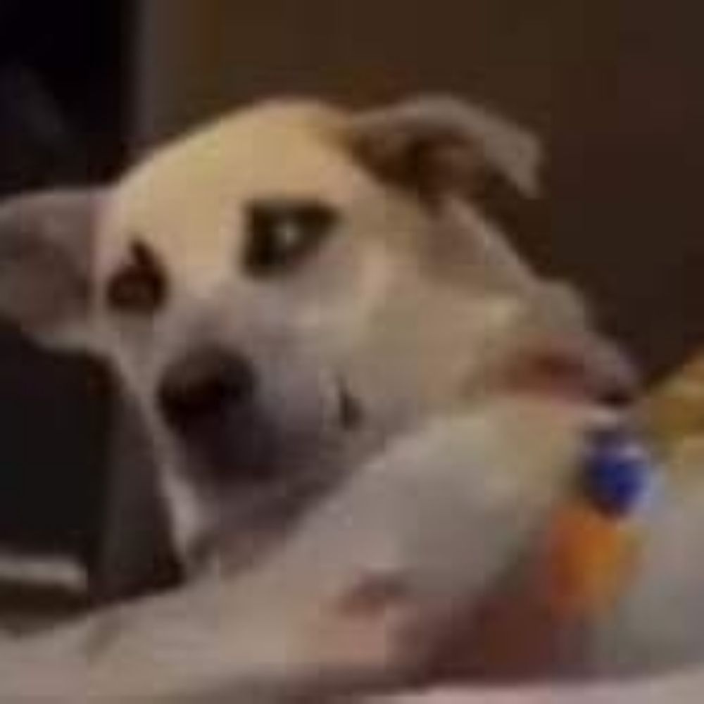 Etan