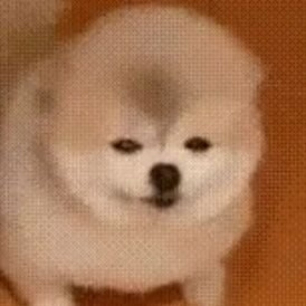 푹신이