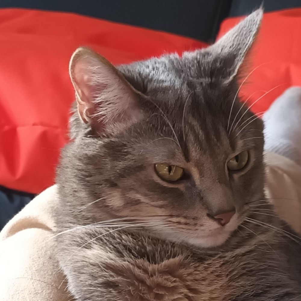 Félix