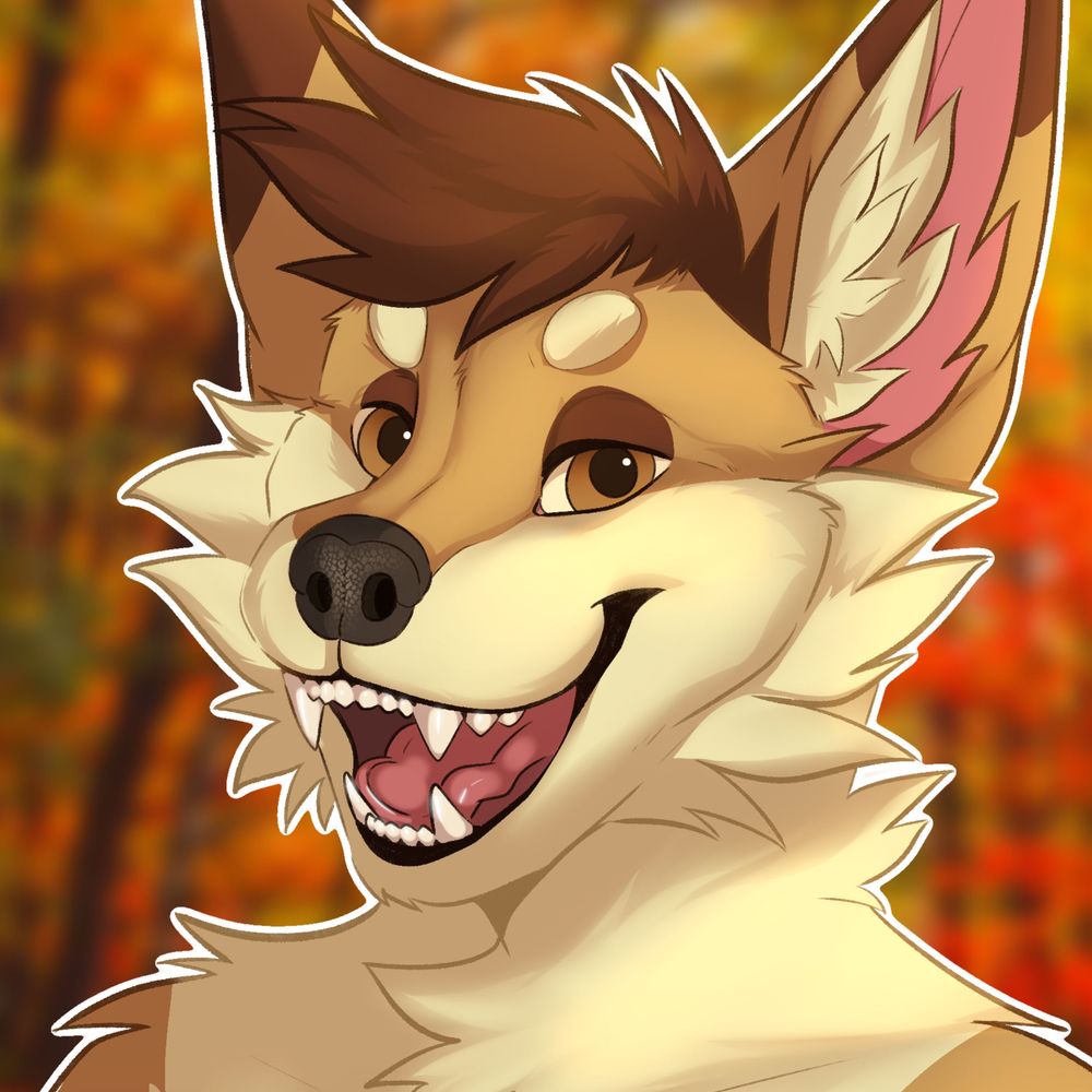 Matt the Dingo 🔜 FWA, AC