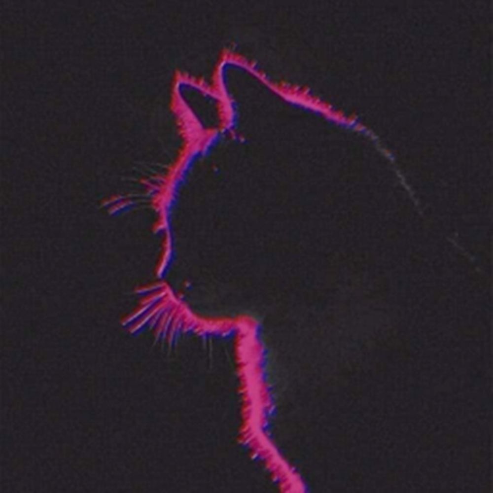 CatGamer