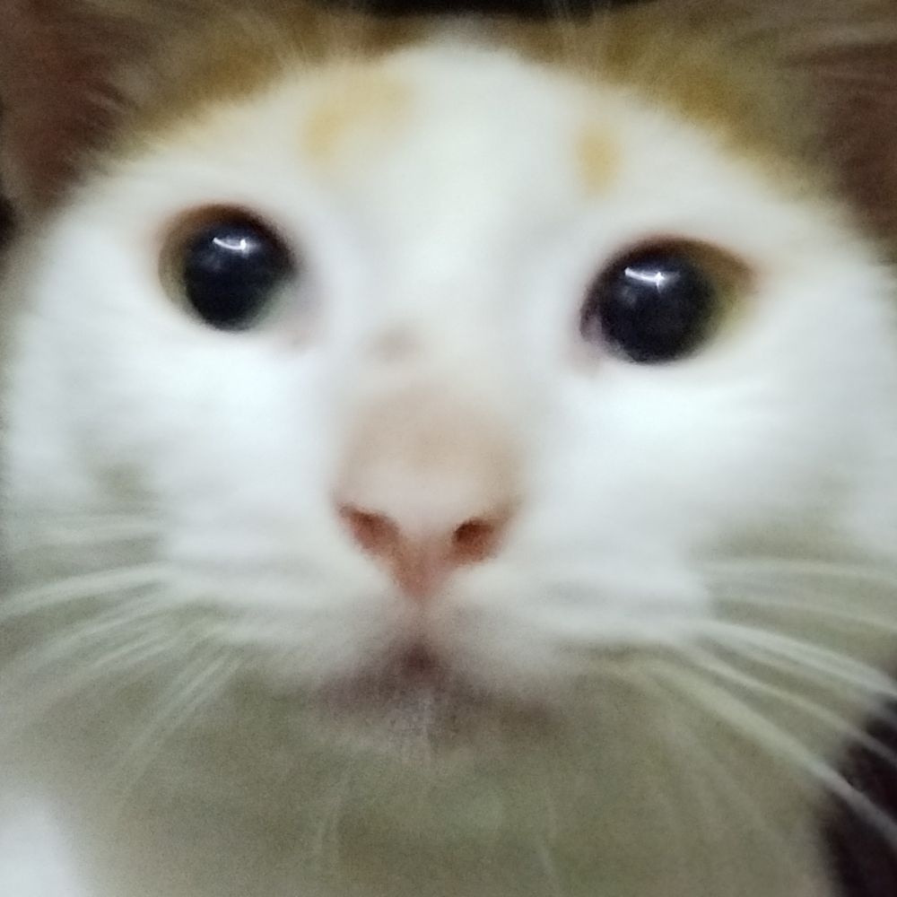 Dee 