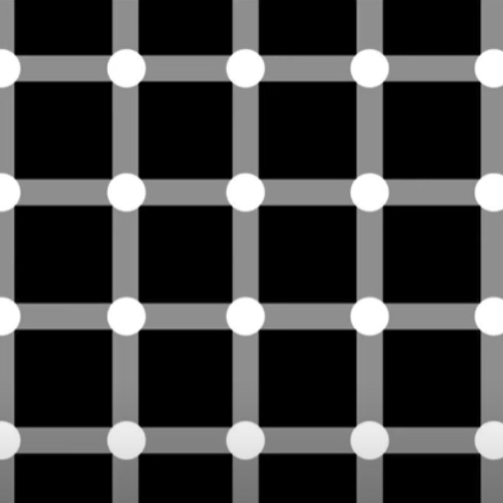 What you see is what you see