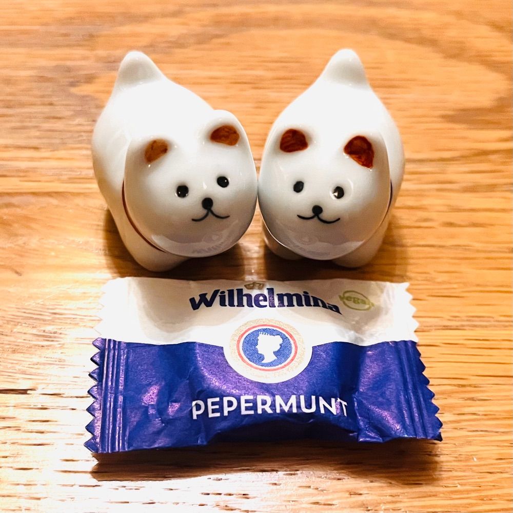 🐈🐾
