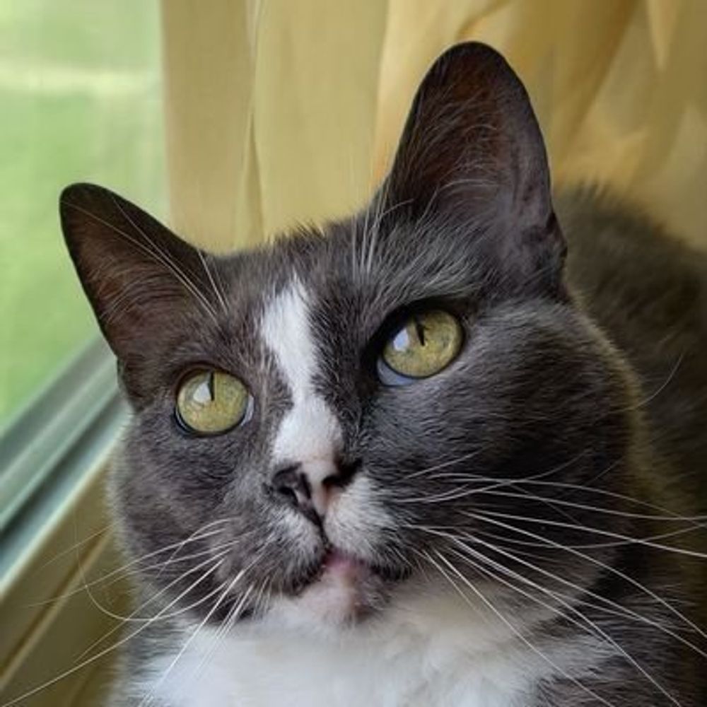 Jasper