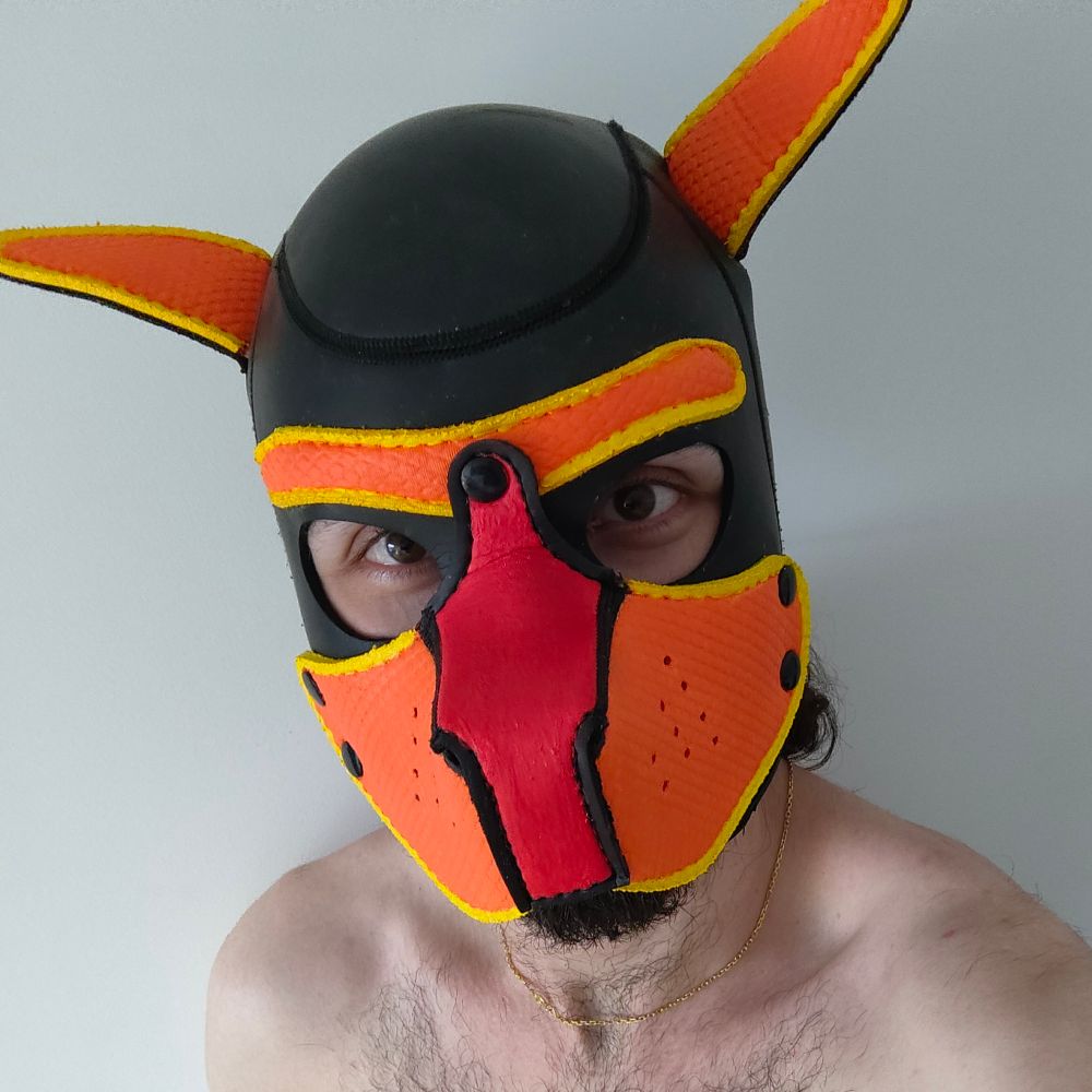 Pup Switcharoo's Avatar