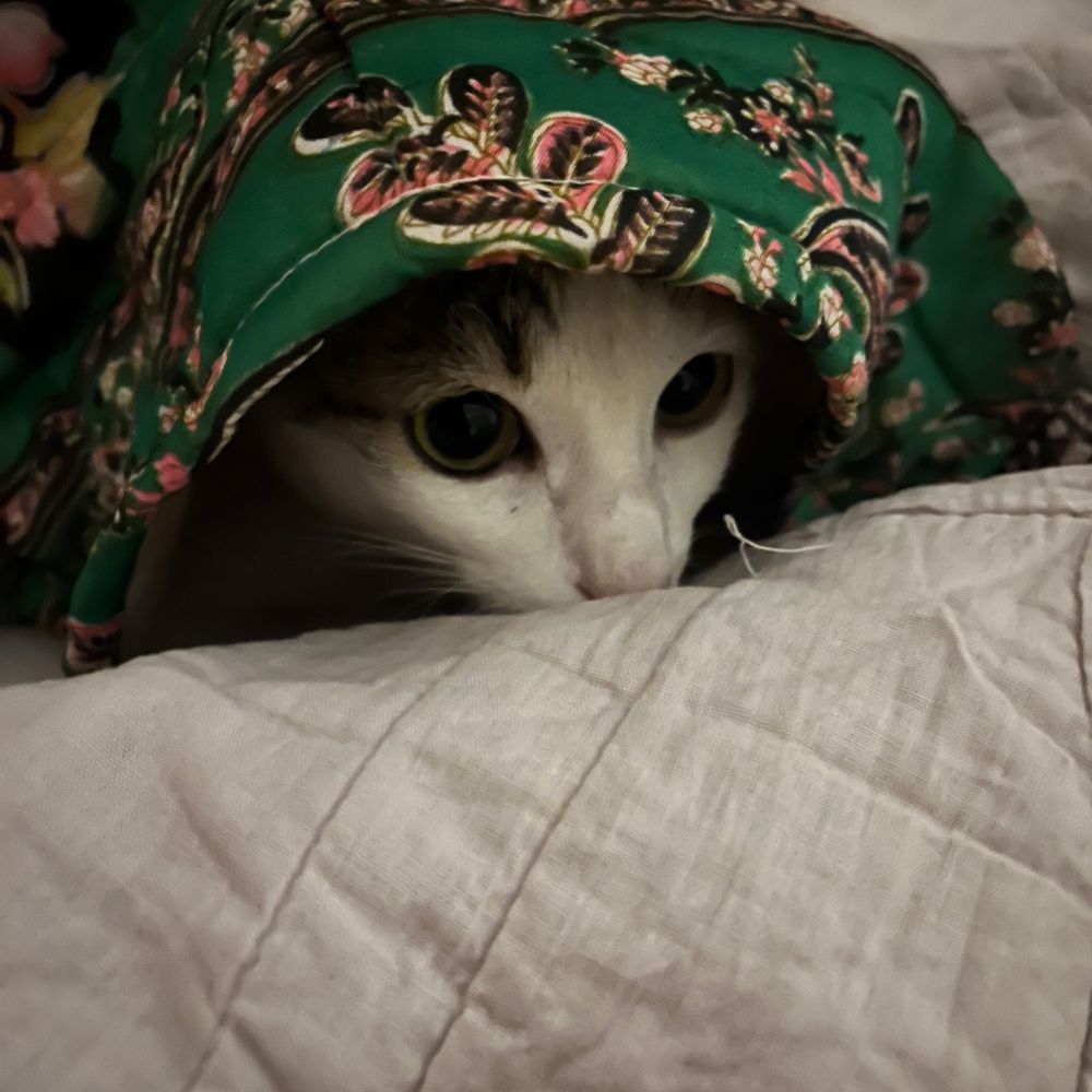 Weeb ? Who? Me? 